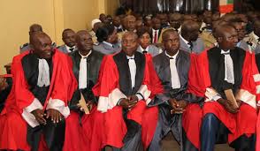 Pro Bono Services: Our Commitment to Access to Justice